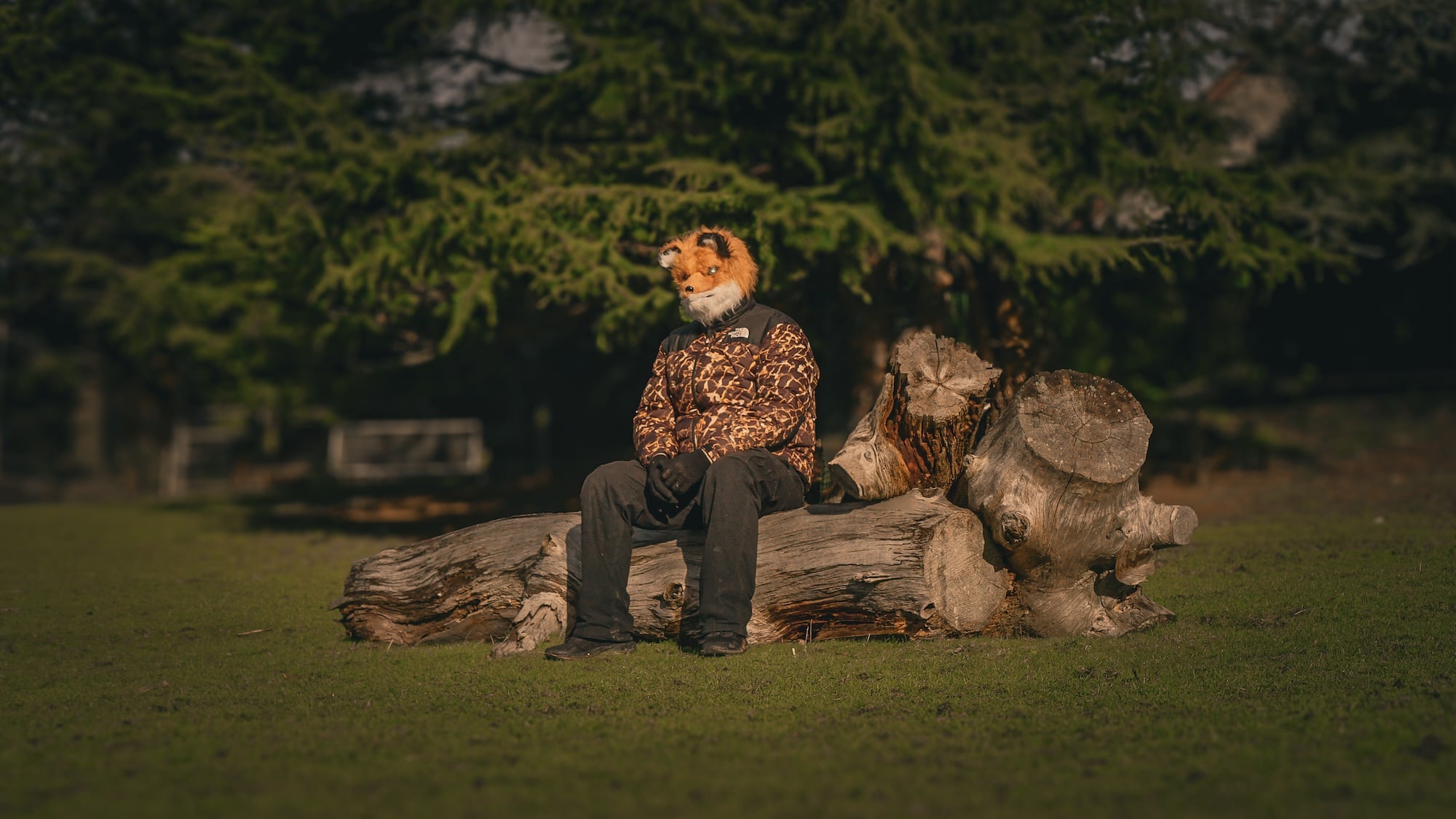 Wallfella releases new EP The Coop is Full